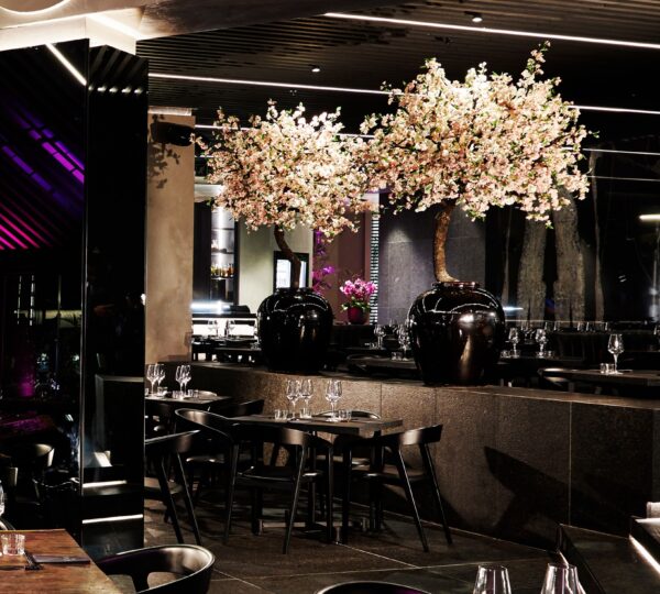 TANG Asian Luxury Restaurant & Bar (Sandton)