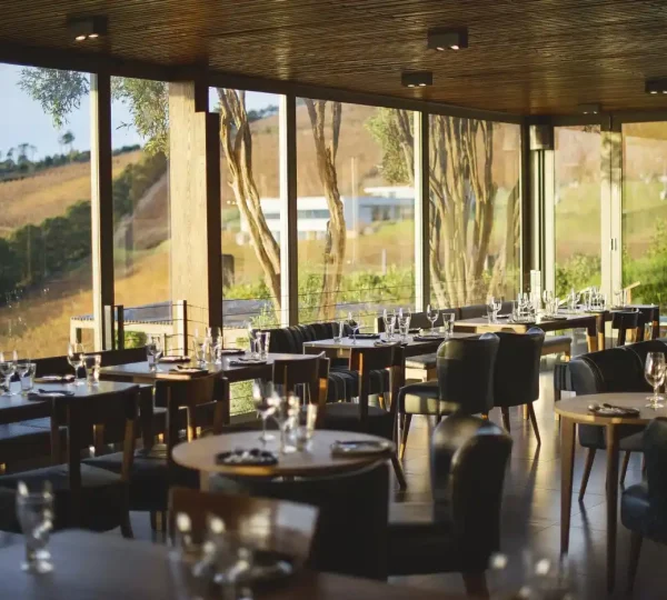 Chefs Warehouse Beau Constantia