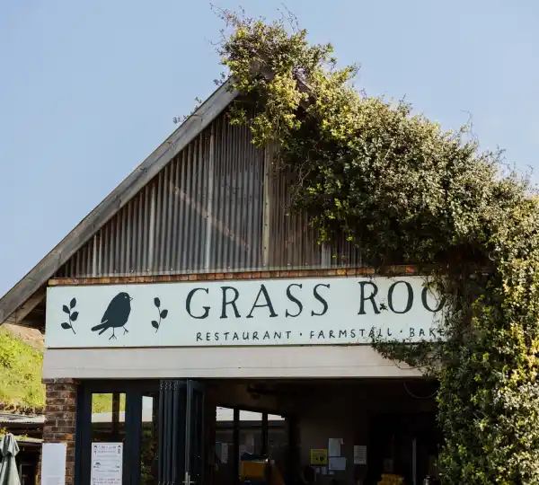 Grass Roof