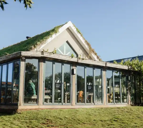 Grass Roof