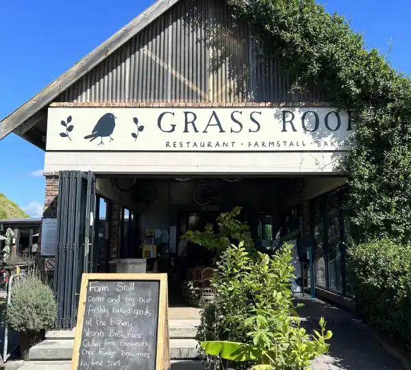 Grass Roof