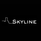 Skyline Rooftop (Gecko Lounge)